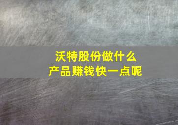 沃特股份做什么产品赚钱快一点呢