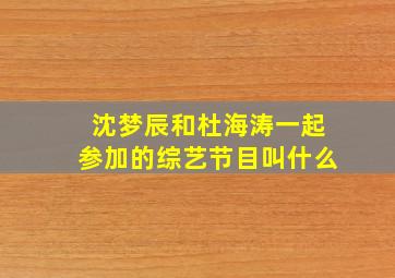 沈梦辰和杜海涛一起参加的综艺节目叫什么