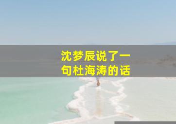 沈梦辰说了一句杜海涛的话