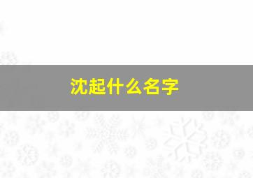 沈起什么名字