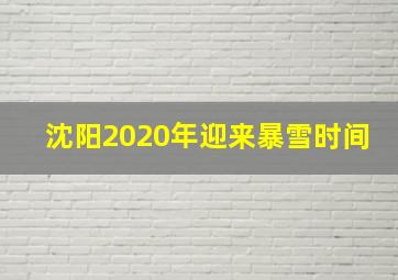 沈阳2020年迎来暴雪时间