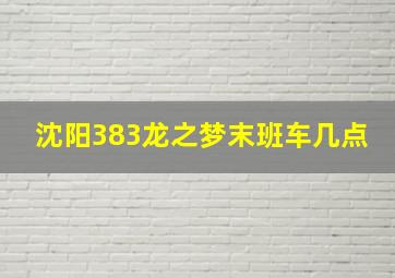 沈阳383龙之梦末班车几点