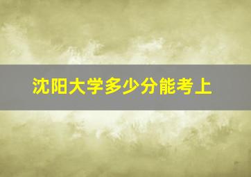 沈阳大学多少分能考上