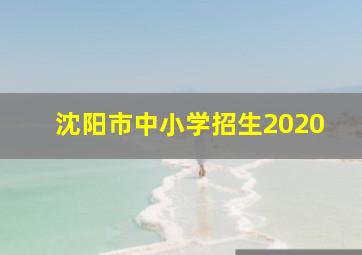 沈阳市中小学招生2020