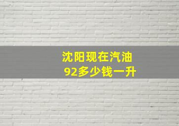 沈阳现在汽油92多少钱一升