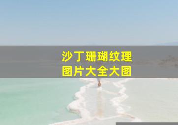 沙丁珊瑚纹理图片大全大图