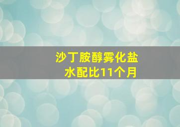 沙丁胺醇雾化盐水配比11个月