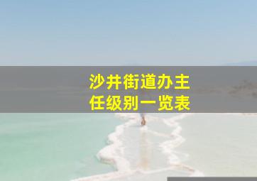 沙井街道办主任级别一览表