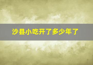 沙县小吃开了多少年了