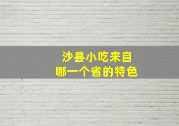 沙县小吃来自哪一个省的特色