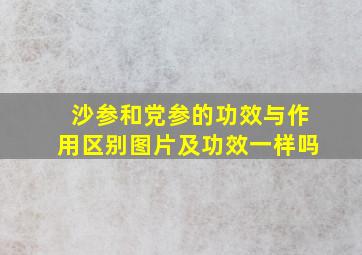 沙参和党参的功效与作用区别图片及功效一样吗