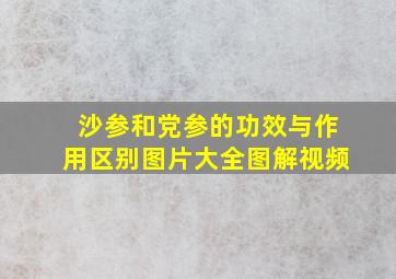 沙参和党参的功效与作用区别图片大全图解视频