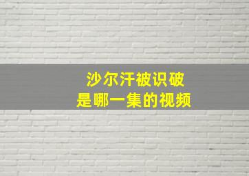 沙尔汗被识破是哪一集的视频