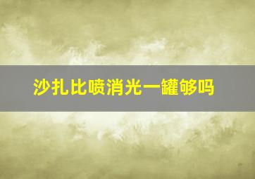 沙扎比喷消光一罐够吗