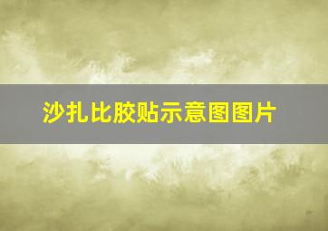 沙扎比胶贴示意图图片