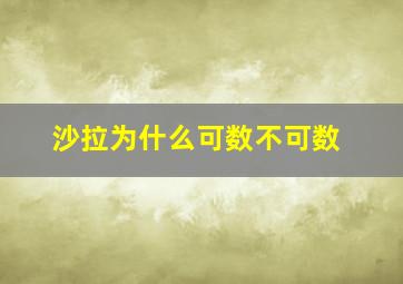 沙拉为什么可数不可数