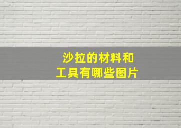 沙拉的材料和工具有哪些图片