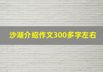 沙湖介绍作文300多字左右