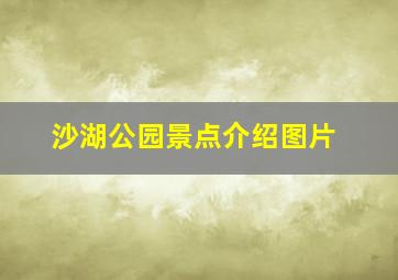 沙湖公园景点介绍图片