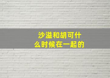 沙溢和胡可什么时候在一起的