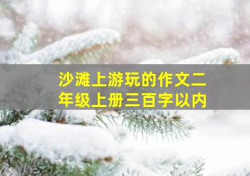 沙滩上游玩的作文二年级上册三百字以内