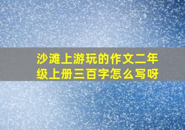 沙滩上游玩的作文二年级上册三百字怎么写呀