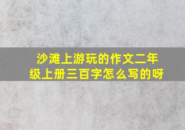 沙滩上游玩的作文二年级上册三百字怎么写的呀