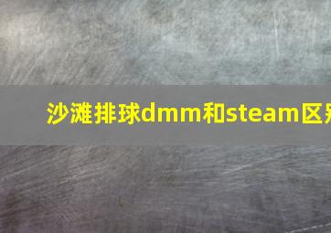 沙滩排球dmm和steam区别