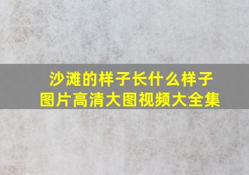 沙滩的样子长什么样子图片高清大图视频大全集