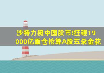 沙特力挺中国股市!狂砸19000亿重仓抢筹A股五朵金花