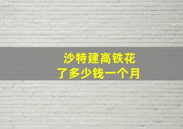 沙特建高铁花了多少钱一个月