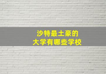 沙特最土豪的大学有哪些学校