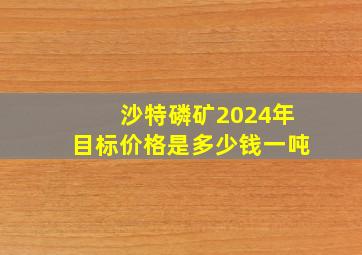 沙特磷矿2024年目标价格是多少钱一吨