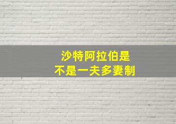 沙特阿拉伯是不是一夫多妻制