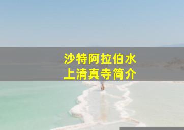 沙特阿拉伯水上清真寺简介