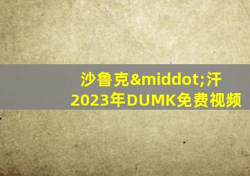 沙鲁克·汗2023年DUMK免费视频