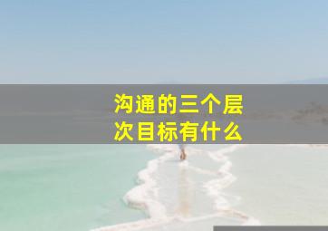 沟通的三个层次目标有什么