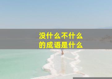 没什么不什么的成语是什么