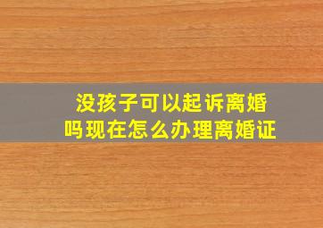 没孩子可以起诉离婚吗现在怎么办理离婚证