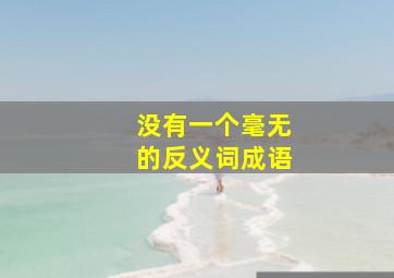 没有一个毫无的反义词成语