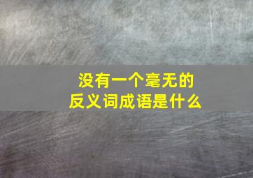 没有一个毫无的反义词成语是什么