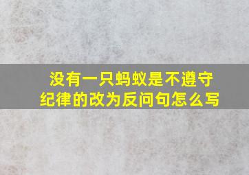 没有一只蚂蚁是不遵守纪律的改为反问句怎么写