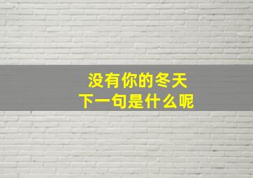 没有你的冬天下一句是什么呢