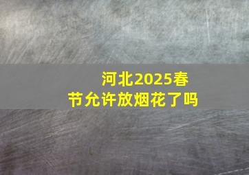 河北2025春节允许放烟花了吗