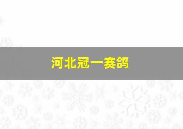 河北冠一赛鸽