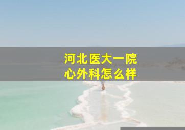 河北医大一院心外科怎么样