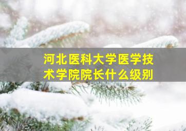 河北医科大学医学技术学院院长什么级别