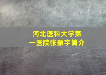 河北医科大学第一医院张振宇简介