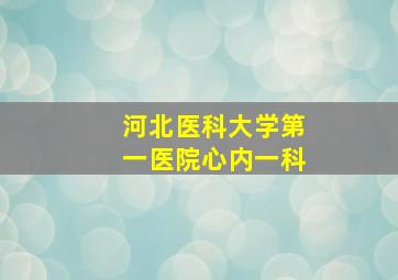 河北医科大学第一医院心内一科