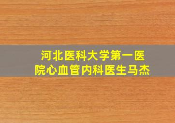 河北医科大学第一医院心血管内科医生马杰